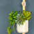 Conjunto de Vasos Vert Parede - comprar online