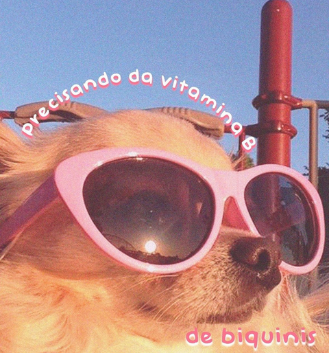 Banner da categoria Moda praia