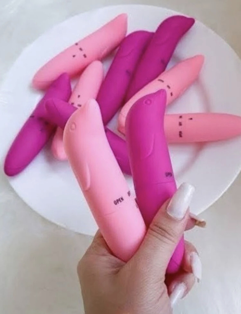 vibrador golfinho (pilha)