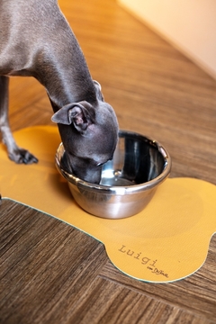 Tapete Pet na internet