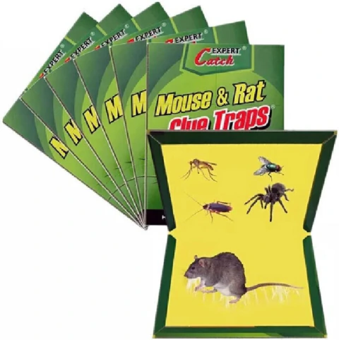 TRAMPA PEGAMENTO PARA RATAS