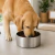 Comedouro Jambo Premium Inox Silver 1L Para Cães e Gatos - comprar online