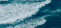 Banner da categoria Moletom sustentável Jolly Roger