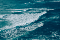 Banner da categoria Carteira sustentável Minimalista Lisa e Estampada 