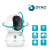 Spino (DD2-3) - comprar online