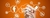 Imagem do banner rotativo Miados & Latidos Pets
