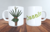 Caneca Branca Louça - Coleção Orixás - Òssaín