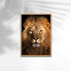 QUADRO LEÃO DE JUDÁ - loja online