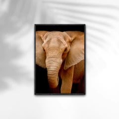 Imagem do QUADRO ELEFANTE SABEDORIA