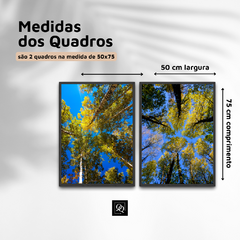 DUPLA DE QUADROS IPES - comprar online