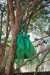 Bag de Mão plumas - UN - comprar online