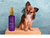 Colônia Hydra Groomers Forever Velvety Pet Society 130Ml