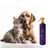 Colônia Hydra Groomers Forever Vip Pet Society 450Ml na internet