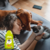 Condicionador Hidratante Estopinha Manteiga De Karité Beeps Pet Society 480 Ml