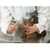 Imagem do Kit 10 Aplicadores De Comprimidos Cachorros Gatos Buster Kruuser