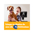 Petisco Dentastix Cães Adultos Raças Pequenas Pedigree