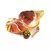 Presunto Cru Contadino Parma Italiano Inteiro Sem Osso Fiorucci Ceratti 6,5Kg na internet