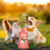 Shampoo E Condicionador 2 Em 1 Estopinha Beeps Pet Society 500Ml