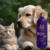 Condicionador Hydra Groomers Pro Brilho E Desembaraço Pet Society 1L 1:10