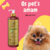 Frasco de shampoo Suave Esmeralda Cereja e Avelã da Dolce Pet, ao lado de um cachorro pomerânia feliz.