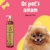 Frasco de shampoo suave Esmeralda Bambu Mossô da Dolce Pet com um cão pomerano ao fundo.