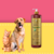 Frasco de shampoo suave Esmeralda Cereja e Avelã da Dolce Pet, com um cão e um gato ao fundo.