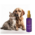 Colônia Hydra Groomers Forever Winner Pet Society 130Ml - comprar online