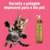Gato brincando ao lado do Shampoo Suave Esmeralda Bambu Mossô 300ml da Dolce Pet.