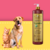 Frasco de Shampoo Suave Esmeralda Cereja e Avelã da Dolce Pet, com um cachorro e um gato ao lado.