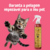 Gato brincando ao lado do Fluído Fixador Ônix Cães e Gatos da Dolce Pet, 300ml, com fundo rosa.
