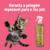 Gato brincando ao lado do Fluído Desembaraçador Água Marinha para cães e gatos da Dolce Pet.
