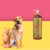 Imagem do shampoo neutralizador de odores Turmalina Cereja e Avelã da Dolce Pet, com um cachorro e um gato ao lado.