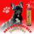 Shampoo Dolce Pet Ametista Clareador Tonalizante Bambu Mossô para Cães e Gatos