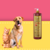 Frasco de shampoo neutralizador de odores Turmalina Cereja e Avelã da Dolce Pet, com um cachorro e um gato ao fundo.