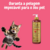 Gato brincando com shampoo neutralizador de odores Turmalina Cereja e Avelã da Dolce Pet