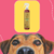 Frasco de fluído finalizador térmico Calcedônia da Dolce Pet, ao fundo um cachorro olhando para a câmera.