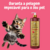 Gato brincando ao lado de um shampoo neutro de odores Turmalina Cereja e Avelã da Dolce Pet, com fundo rosa.