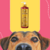 Frasco do Condicionador Topázio Cereja e Avelã da Dolce Pet para cães e gatos, com fundo colorido e um cão em primeiro plano.