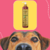 Frasco de shampoo suave Esmeralda Cereja e Avelã da Dolce Pet, com um cachorro em primeiro plano.