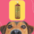 Frasco de shampoo suave Esmeralda Cereja e Avelã da Dolce Pet, com um cachorro em primeiro plano.