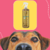 Frasco de fluído desembaraçador Água Marinha da Dolce Pet, com fundo colorido e um cachorro em primeiro plano.
