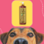 Frasco de shampoo Suave Esmeralda Bambu Mossô 500ml da Dolce Pet, focando em um cachorro.