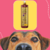 Frasco de shampoo clareador tonalizante Ametista Bambu Mossô 1L da Dolce Pet, com um cachorro em primeiro plano.