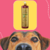 Frasco de shampoo suave Esmeralda Cereja e Avelã da Dolce Pet, com um cachorro em primeiro plano.
