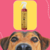 Frasco do Fluído Fixador Ônix Cereja e Avelã da Dolce Pet, indicado para cães e gatos, com 300 ml.
