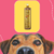 Máscara Hidratação Reconstrutora Ágata Bambu Mossô Dolce Pet 950 Ml - comprar online