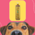 Frente de um cachorro com um frasco de máscara de hidratação para cães e gatos ao fundo, destacando o produto Jade da Dolce Pet.