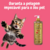 Gato brincando ao lado do Shampoo Liso Absoluto Rubi Cereja e Avelã de 500 ml da Dolce Pet.