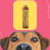 Frasco de shampoo neutralizador de odores Turmalina Cereja e Avelã 300ml da Dolce Pet, com um cachorro em primeiro plano.