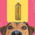 Frasco de condicionador Rubi Liso Absoluto da Dolce Pet, 500ml, com a imagem de um cachorro focando na câmera ao fundo.